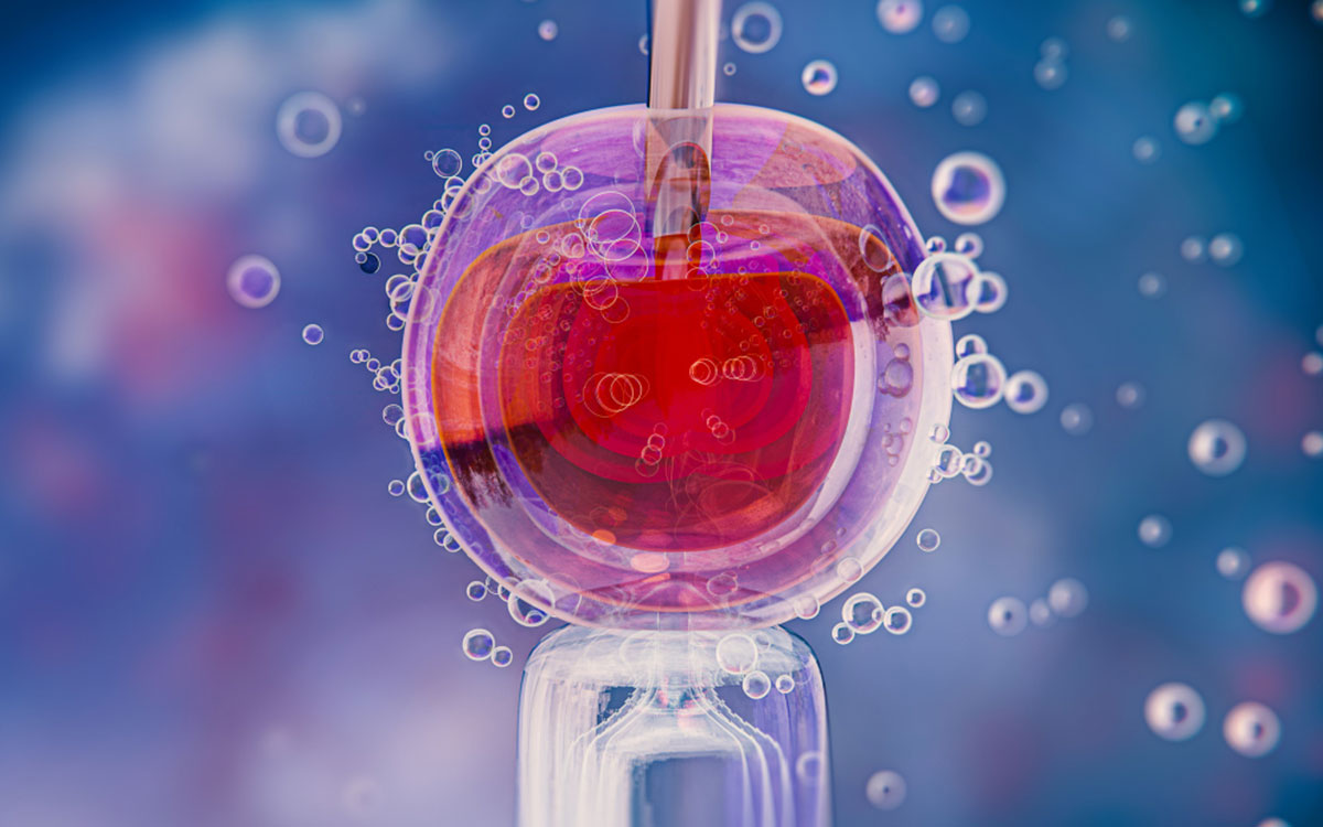Read more about the article Frozen Embryo Transfer (FET): What You Need to Know