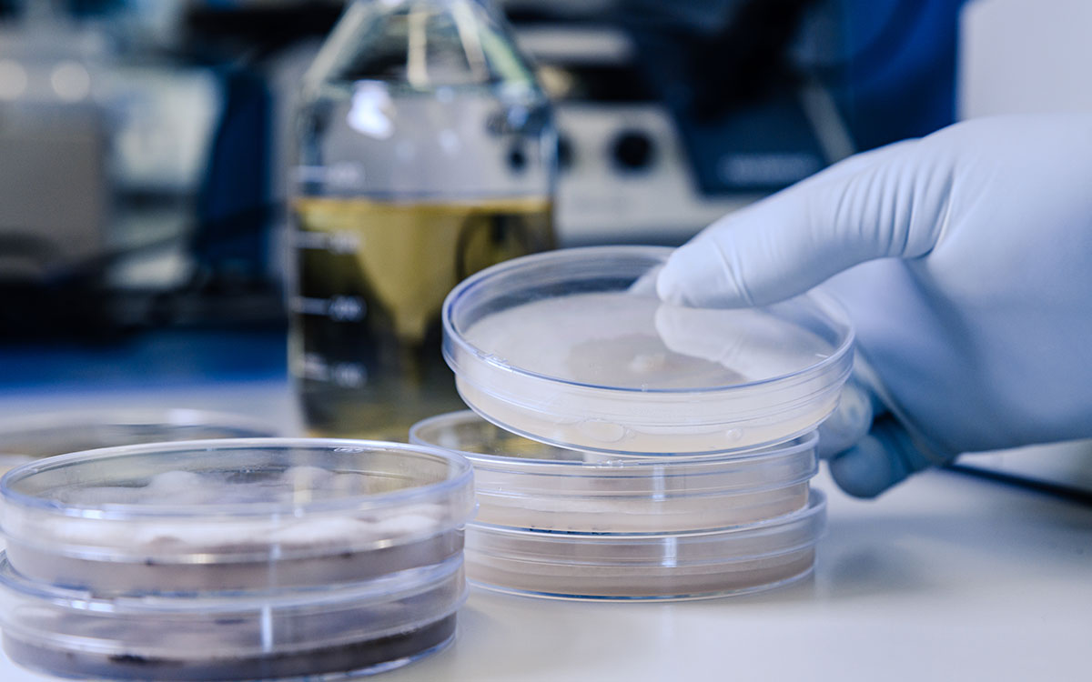 You are currently viewing Frozen Embryo Transfer (FET) or  Fresh Embryo Transfer: Which One Is Better?