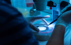 Read more about the article Advancements in IVF Technology: How Science Is Improving Success Rates